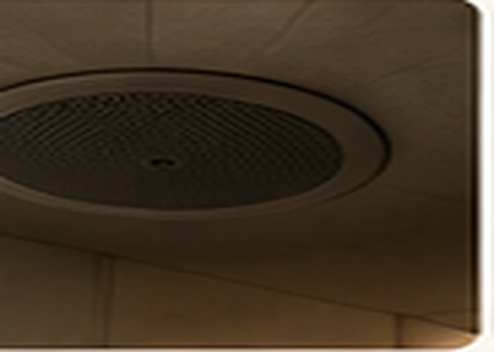 A discreet speaker embedded in the lodge ceiling